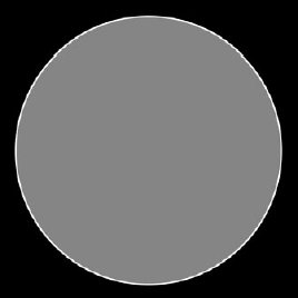Рис. 2.17. Текстура с кругом в центре может использовать копирование с учетом прозрачности для исключения темной внешней области