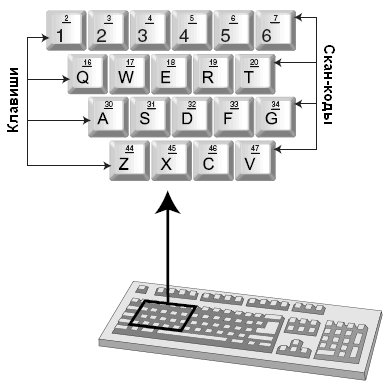 Рис. 3.1. Фрагмент клавиатуры, показывающий несколько клавиш с их скан-кодами
