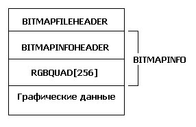Рис. 2.1. Структура DIB